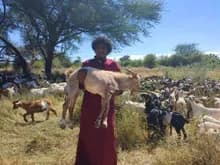 Bénéficiaires recevant la viande de l'Aïd